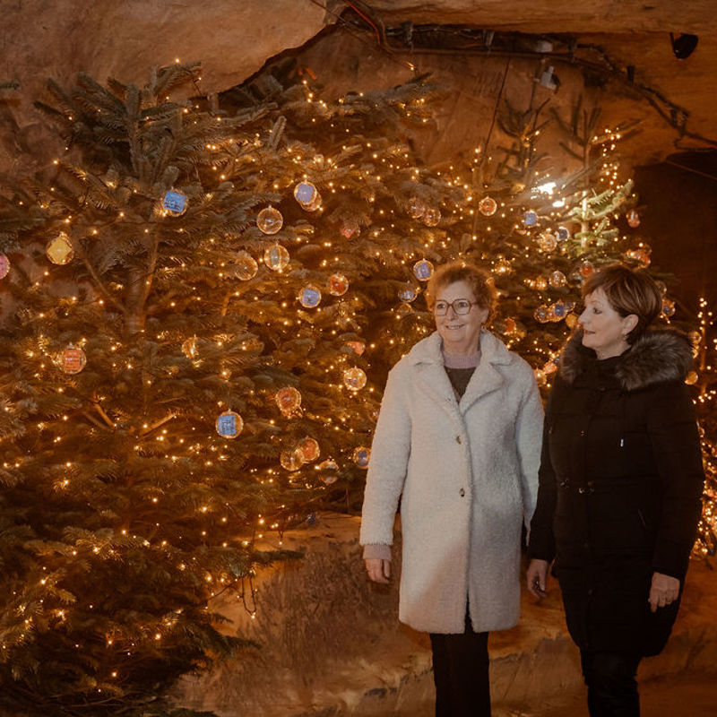 2 dames staan voor verlichte kerstbomen in mergelgrot